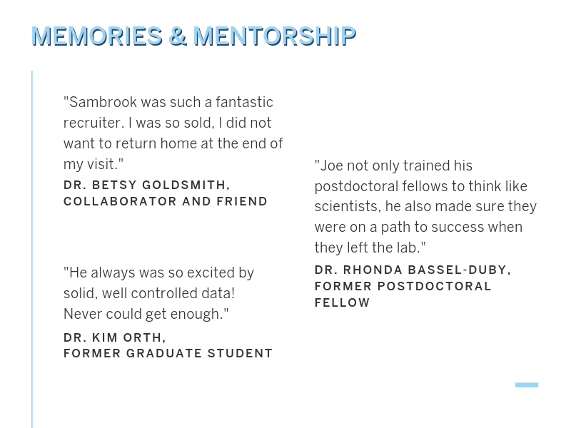 Memories and mentorship infographic
